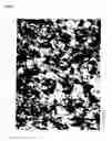 Fig. 06 - Suspension of ascorbic acid in glycerin and process for production thereof