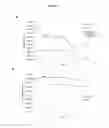 Fig. 03 - Human specific strains