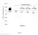 Fig. 16 - SESQUITERPENE FORMULATIONS, KITS AND METHODS OF USE THEREOF
