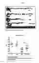 Fig. 06 - Methods of Treating or Preventing Inflammatory Diseases of the Intestinal Tract