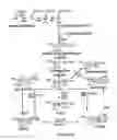 Fig. 02 - GENETIC SEQUENCES HAVING METHYLTRANSFERASE ACTIVITY AND USES THEREFOR