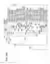 Fig. 28 - GENETIC SEQUENCES HAVING METHYLTRANSFERASE ACTIVITY AND USES THEREFOR