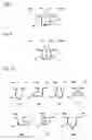 Fig. 05 - Composite shaped article and process for manufacturing the same