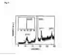 Fig. 07 - Substrate having fullerene thin wires and method for manufacture thereof