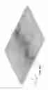 Fig. 08 - SHEET OF MATERIAL WITH BEND-CONTROLLING STRUCTURES AND METHOD