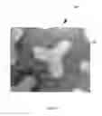 Fig. 12 - Absorbent paper product having non-embossed surface features