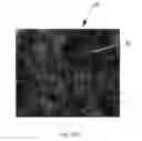 Fig. 15 - Absorbent paper product having non-embossed surface features