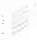 Fig. 01 - INSULATIVE CONSTRUCTION MATERIAL