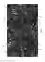 Fig. 02 - Camouflage pattern and method of making same