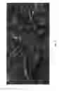 Fig. 03 - Camouflage pattern and method of making same