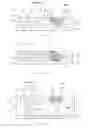 Fig. 02 - Method of Giving an Article a Colored Appearance and an Article Having a Colored Appearance