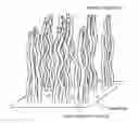 Fig. 01 - Aligned single-walled carbon nanotube aggregate, bulk aligned single-walled carbon nanotube aggregate, and powdered aligned single-walled carbon nanotube aggregate