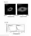 Fig. 26 - Aligned single-walled carbon nanotube aggregate, bulk aligned single-walled carbon nanotube aggregate, and powdered aligned single-walled carbon nanotube aggregate