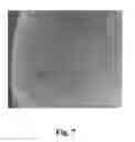Fig. 08 -  COAT POLYMERIC PARTICULATE, AND A PROCESS FOR COATING A POLYMERIC PARTICULATE