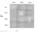 Fig. 08 - Coated articles and methods