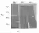 Fig. 09 - Coated articles and methods