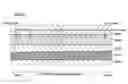 Fig. 01 - FUEL CELL WITH DEAD-END ANODE