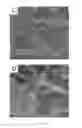 Fig. 04 - Catalytic electrode with gradient porosity and catalyst density for fuel cells