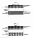 Fig. 03 - Catalyst layer for fuel cell membrane electrode assembly, fuel cell membrane electrode assembly using the catalyst layer, fuel cell, and method for producing the catalyst layer