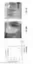 Fig. 32 - Catalyst layer for fuel cell membrane electrode assembly, fuel cell membrane electrode assembly using the catalyst layer, fuel cell, and method for producing the catalyst layer