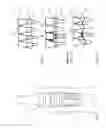 Fig. 06 - TOOTH IMPLANT AND METHOD FOR PRODUCTION THEREOF
