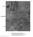 Fig. 01 - Composition and method for flushing and cold/cryo preserving organs, tissues, and cells