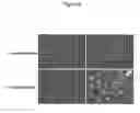Fig. 07 - Composition and method for flushing and cold/cryo preserving organs, tissues, and cells