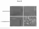 Fig. 09 - Composition and method for flushing and cold/cryo preserving organs, tissues, and cells