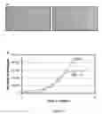 Fig. 02 - HUMAN GONADAL STEM CELLS