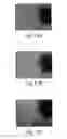 Fig. 12 - Method of determining metabolism of a test agent