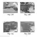 Fig. 15 - Method of determining metabolism of a test agent