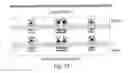 Fig. 22 - Method of determining metabolism of a test agent