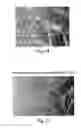 Fig. 23 - Method of determining metabolism of a test agent
