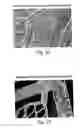 Fig. 24 - Method of determining metabolism of a test agent