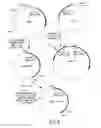 Fig. 05 - COMPOSITIONS AND METHODS FOR REVERSE TRANSCRIPTION OF NUCLEIC ACID MOLECULES