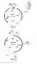 Fig. 09 - COMPOSITIONS AND METHODS FOR REVERSE TRANSCRIPTION OF NUCLEIC ACID MOLECULES
