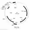 Fig. 33 - COMPOSITIONS AND METHODS FOR REVERSE TRANSCRIPTION OF NUCLEIC ACID MOLECULES