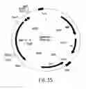 Fig. 35 - COMPOSITIONS AND METHODS FOR REVERSE TRANSCRIPTION OF NUCLEIC ACID MOLECULES