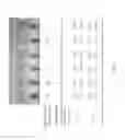 Fig. 03 - PROBES FOR DETECTING MYCOBACTERIUM TUBERCULOSIS AND MYCOBACTERIUM TUBERCULOSIS COMPLEX AND METHOD USING THE SAME