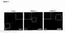 Fig. 07 - Method of Generating p° Cells