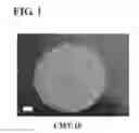 Fig. 02 - Method for Identifying an inhibitor of plasmidic classic C beta-lactamase having extended-substrate specifity