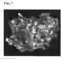 Fig. 08 - Method for Identifying an inhibitor of plasmidic classic C beta-lactamase having extended-substrate specifity