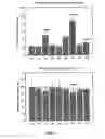 Fig. 02 - Biomarkers