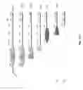 Fig. 08 - Expression vectors comprising the mCMV IE2 promoter