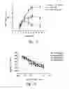 Fig. 09 - Polynucleotides encoding IL-17 receptor A antigen binding proteins
