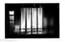 Fig. 01 - Thermostable DNA polymerase