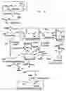 Fig. 07 - Biological Systems for Manufacture of Polyhydroxyalkanoate Polymers Containing 4-Hydroxyacids