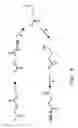 Fig. 08 - Biological Systems for Manufacture of Polyhydroxyalkanoate Polymers Containing 4-Hydroxyacids