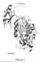 Fig. 02 - Engineered proteases for affinity purification and processing of fusion proteins