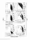 Fig. 04 - Mammalian cell-based immunoglobulin display libraries